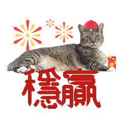 TNR 2020 Happy New Year