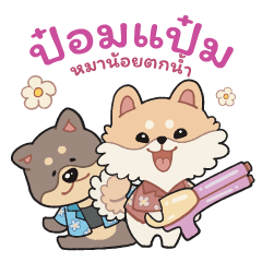 Ppom Pam: A Soaked Little Pup