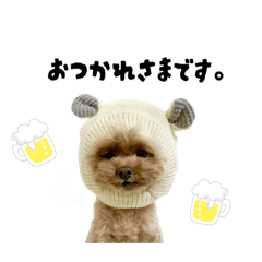 わが家のモカさん。