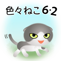 色々な猫6-2 短毛-垂れ耳-グレー白
