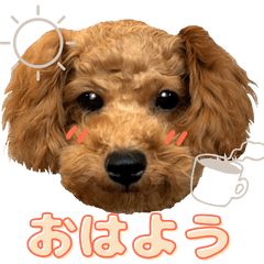 それいけくくちゃん！ ver2