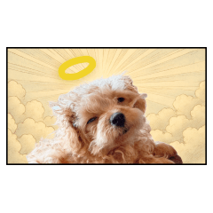 ハッピーな子犬 ワンツァイ (おばあさん）