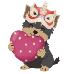 Lion Head Yorkshire's Versatile Life