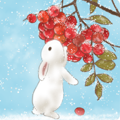 ウサギ家族 11 - ゆるっと、日々のこと-2