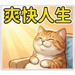 White cat ball So satisfying!