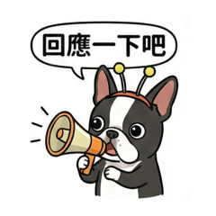 Dreamer_20260116164900