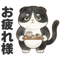 八割れ猫：はちおの「お疲れ」