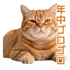 限界茶トラ猫の年中ゴロゴロ脱力返事