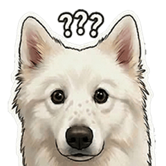 Fluffy White Dog: Daily Life & Moods