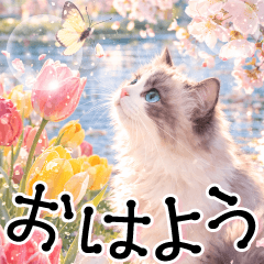 とびだす！春猫日和♪ずっと使える春の挨拶