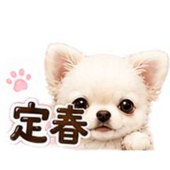 おさだまる