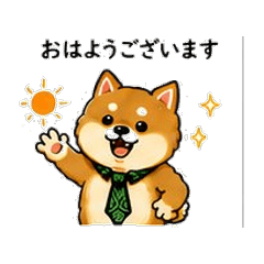 全力だよ豆柴さん