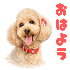 ごきげんタルのお出かけ日記♪