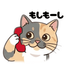 かわいい三毛猫日常定番2。普段使いに便利