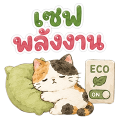 Lazy Calico Cats