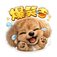 そらんの家