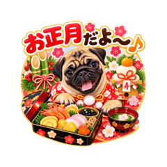 パグ家族8お正月バージョンのマルくん