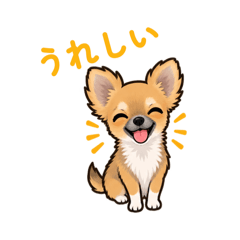 マイちわ