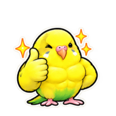 マッチョインコこんぺい