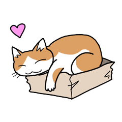 箱好き猫