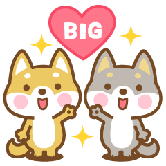 BIG 見やすい柴犬さんたちのスタンプ