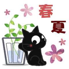 黒ねこの春・夏便り