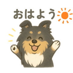 黒　シェルティ