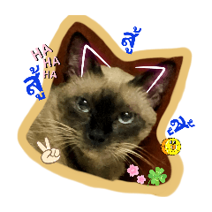 pijittra montree_20250603203922