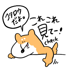 柴犬のコタロウです。