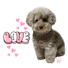 シェリーの日常スタンプ♪