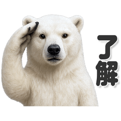 ずっと使える！日常シロクマ