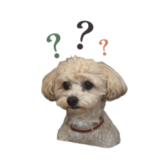 ゆずと流光おさんぽ