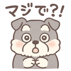 まるっと可愛いシュナウザーの日常★第2弾