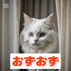 ひかえめねこのきもち