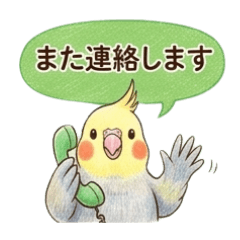 使い倒せる敬語♡オカメインコ