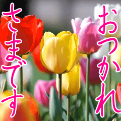 とびだす！春のチューリップ 大人の敬語