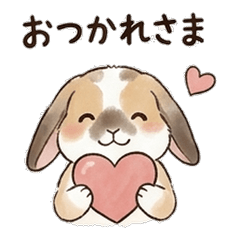 ホーランドロップふるる（うさぎ）の日常