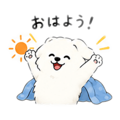ゆるふわスピッツの日常