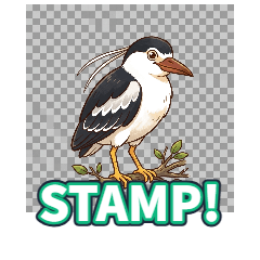 Black-crowned Night Heron