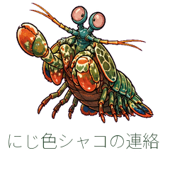にじ色シャコの連絡