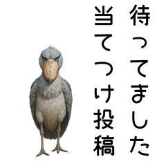 ハシビロコウ フレネミー本音スタンプ