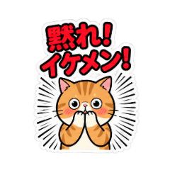 シティリバさん1