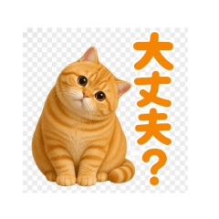 日本語：ねむネコ日本語スタンプ