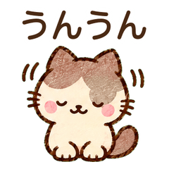 共感とツッコミ！表情豊かな猫