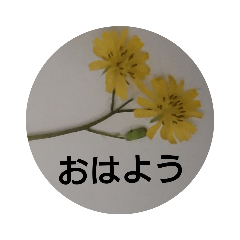 お花スタンプ1