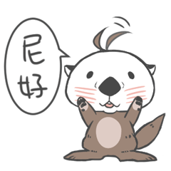 sea otter kun's usual life