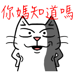 ian cat taking something