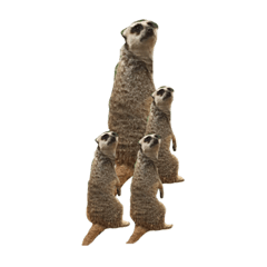 どうぶつ スタンプ2