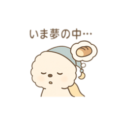 ビションフリーゼの「ねむすけ」