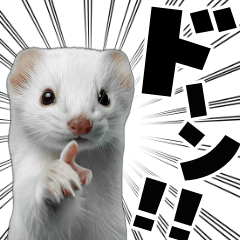 動く！デカ文字オコジョ